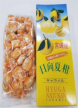 Amazon.co.jp: 九州限定 宮崎県限定 宮崎空港商事 宮崎産 日向夏